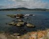 Parc Strandja - C�te De la Mer Noire - 